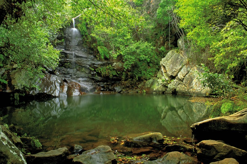 parque-natural-de-los-alcornocales-cadiz