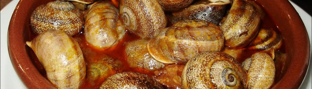 西班牙蜗牛美食大餐的前世今生